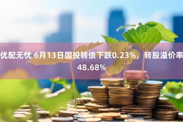 优配无忧 6月13日国投转债下跌0.23%，转股溢价率48.68%