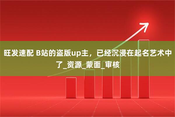 旺发速配 B站的盗版up主，已经沉浸在起名艺术中了_资源_蒙面_审核
