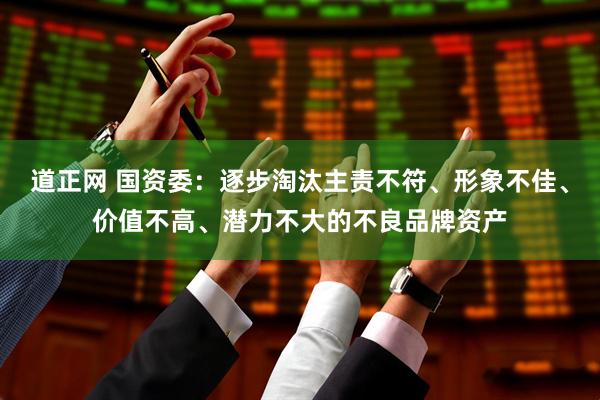 道正网 国资委：逐步淘汰主责不符、形象不佳、价值不高、潜力不大的不良品牌资产