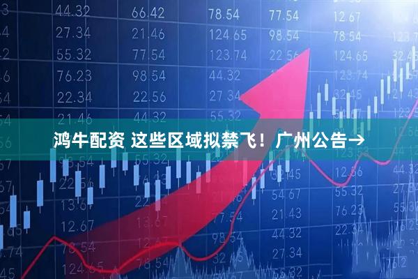 鸿牛配资 这些区域拟禁飞！广州公告→