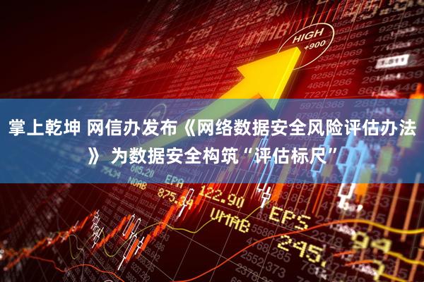 掌上乾坤 网信办发布《网络数据安全风险评估办法》 为数据安全构筑“评估标尺”
